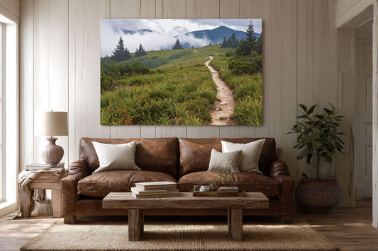 Summit Path – Blue Ridge Highlands Canvas Art Print - Canvas